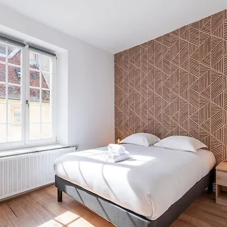 Apartment L'alerion Nanceien - Appt Pour 2 A Nancy